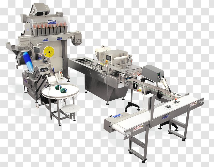 Machine Packaging And Labeling Technology Cocci Luciano Srl Economy - Flagship Transparent PNG
