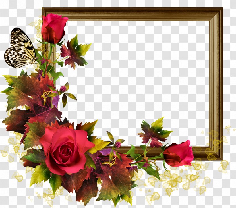 Rose Picture Frame Flower - Arranging Transparent PNG