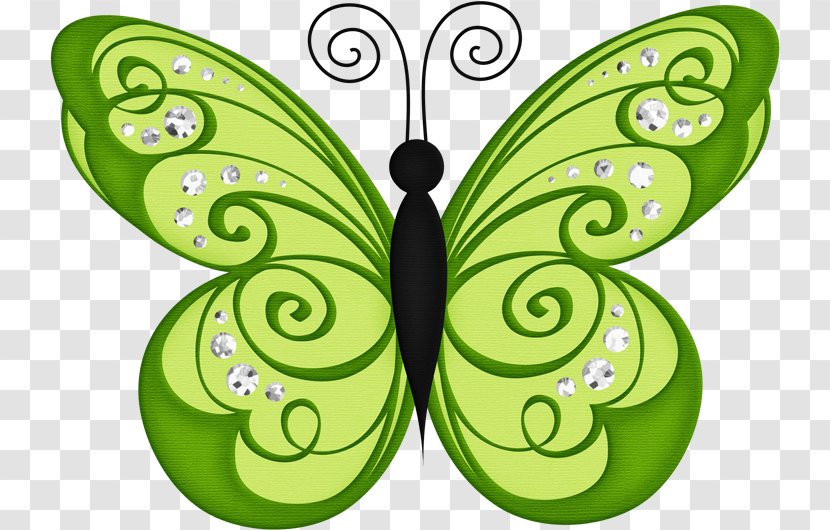 Butterfly Clip Art - Pollinator Transparent PNG