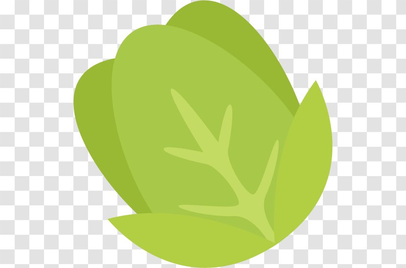 Leaf Green Font - Plant - Cabbage Pattern Transparent PNG