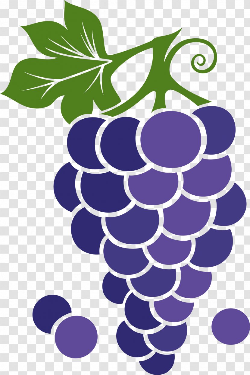 Grape Purple Animation - Grapevine Family - Cartoon Grapes Transparent PNG
