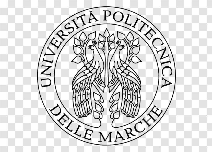 Marche Polytechnic University Of L'Aquila Bari Master's Degree - Flower - Student Transparent PNG