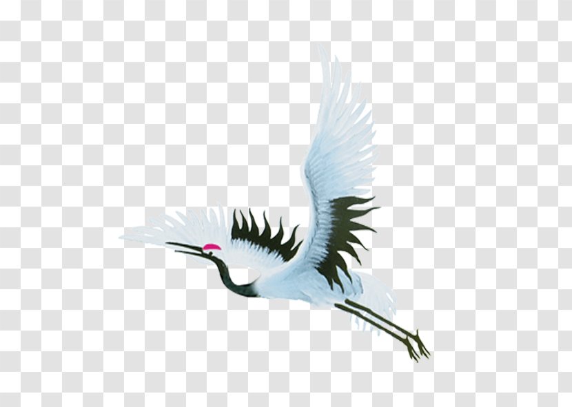 Bird Flight Crane - Redcrowned - Chinese Style Transparent PNG