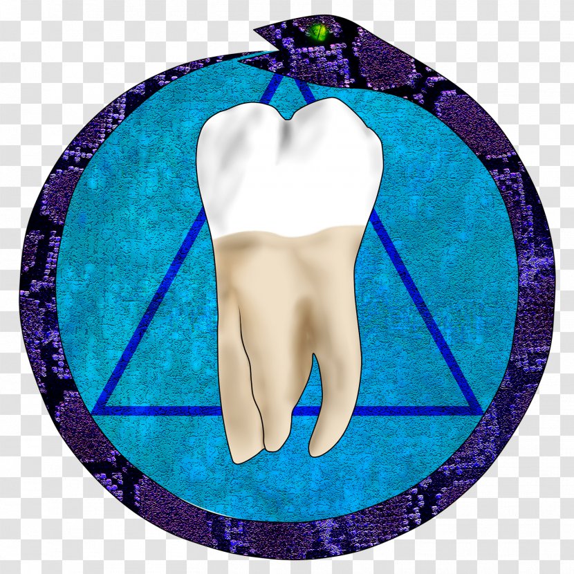 Tooth - Tree - Odonto Transparent PNG