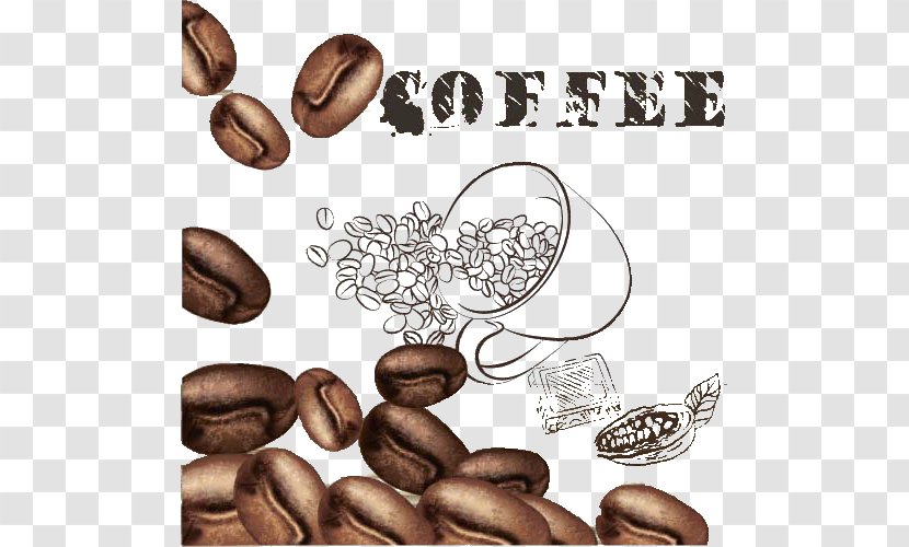 Arabic Coffee Cafe Bean - Ingredient - Beans And Cup Transparent PNG