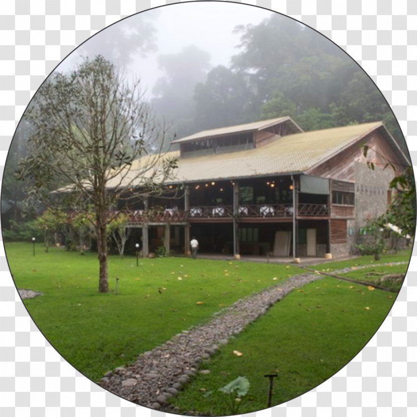 Borneo Rainforest Lodge Accommodation Danum Valley Conservation Area Package Tour - Lawn - Billboard Transparent PNG