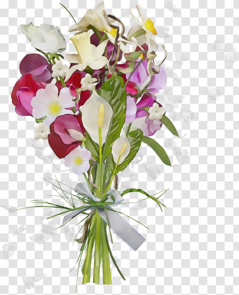 Flower Cut Flowers Plant Bouquet Floristry - Anthurium Cooktown Orchid Transparent PNG