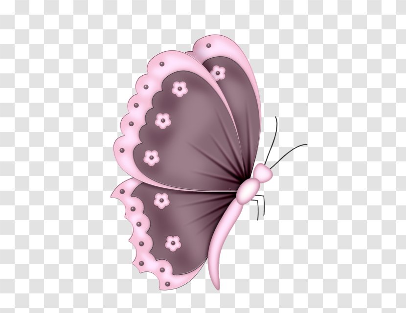 Butterfly Clip Art - Coloring Book Transparent PNG