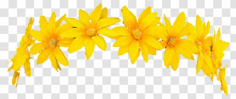 Wreath Crown Yellow Flower - White Transparent PNG