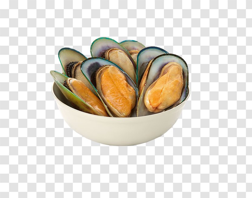 Mussel Clam Shellfish Molluscs Seafood - Sea - Mussels Transparent PNG
