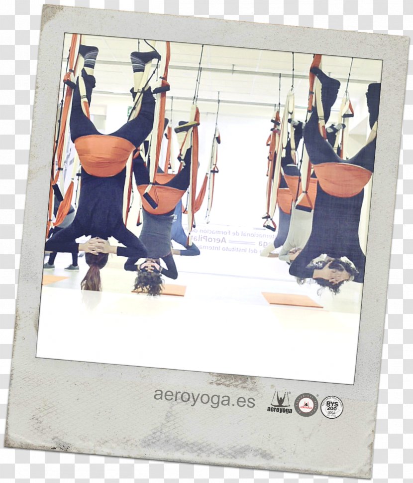 Anti-gravity Yoga Pilates Rafael Joaquín Martínez Vaca Teacher - March Transparent PNG