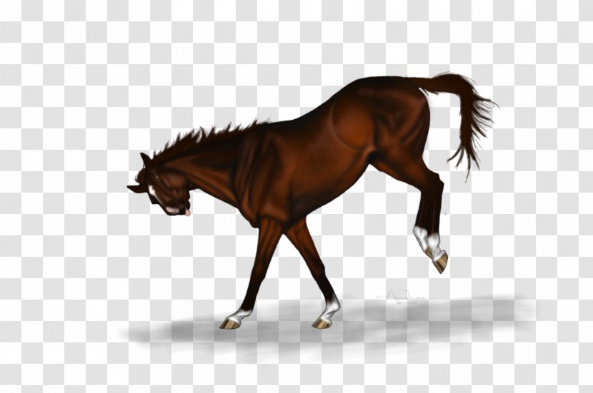 Mane Mustang Stallion Foal Mare - Livestock - Well Being Transparent PNG