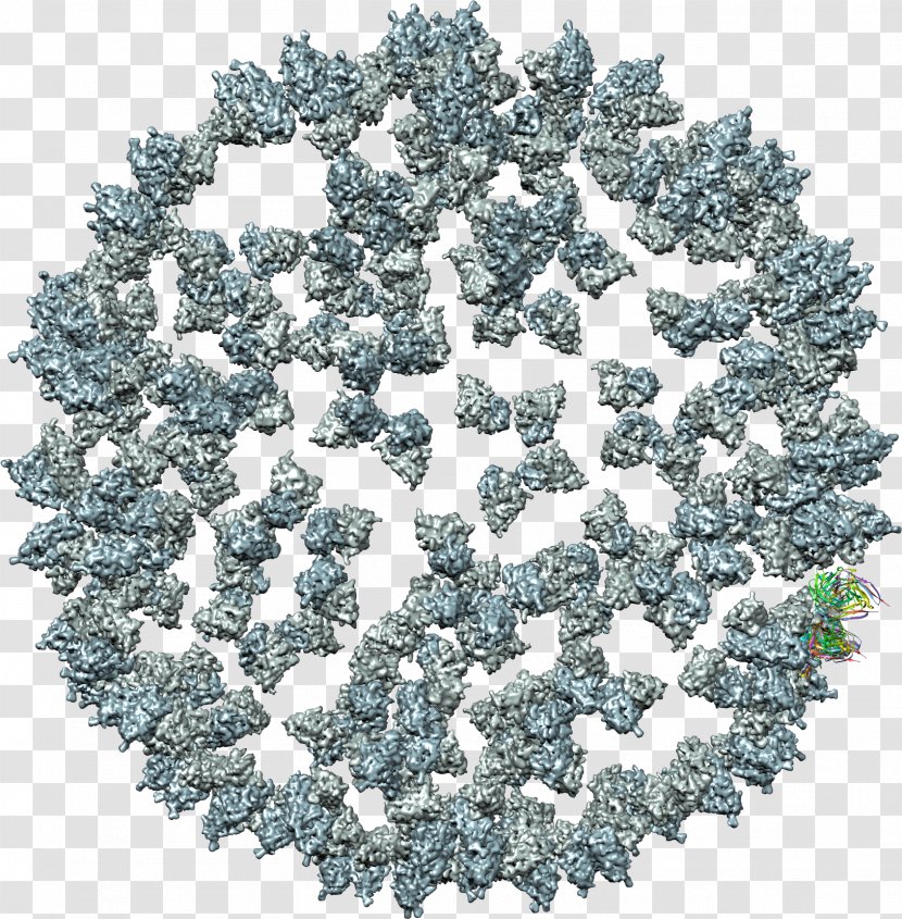 Tree - Tobacco Mosaic Virus Transparent PNG