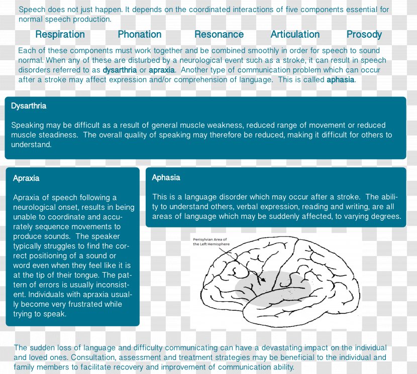 Speech-language Pathology Apraxia Neurology - Speech Transparent PNG