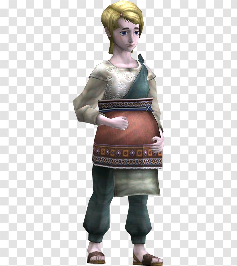 The Legend Of Zelda: Twilight Princess Zelda Hyrule Warriors Universe Link - Armour - Skyward Transparent PNG