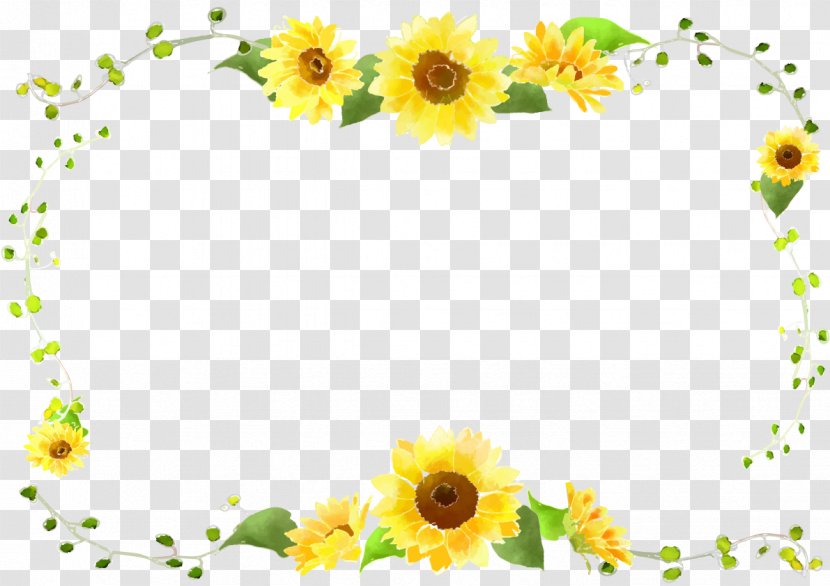 Common Sunflower - Portable Document Format - Border Curve Decorative Foliage Transparent PNG