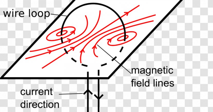 Electromagnetism Craft Magnets Magnetic Field Physics - Flower - Watercolor Transparent PNG