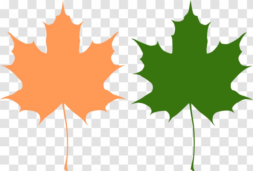 Maple Leaf Canada Clip Art - Wikimedia Commons Transparent PNG