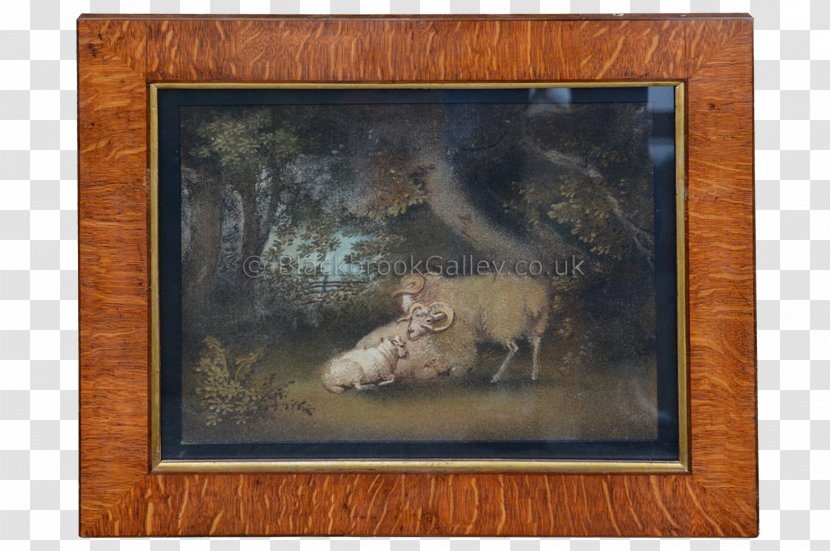 Picture Frames Painting Lion Horse Carnivora - Watercolor Paint Border Transparent PNG