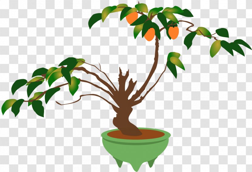 Clip Art Bonsai Branch Flowerpot Borders And Frames - Organism - Tree Transparent PNG