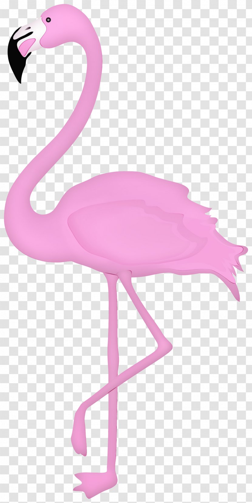 Pink Flamingo - Beak - Furniture Transparent PNG