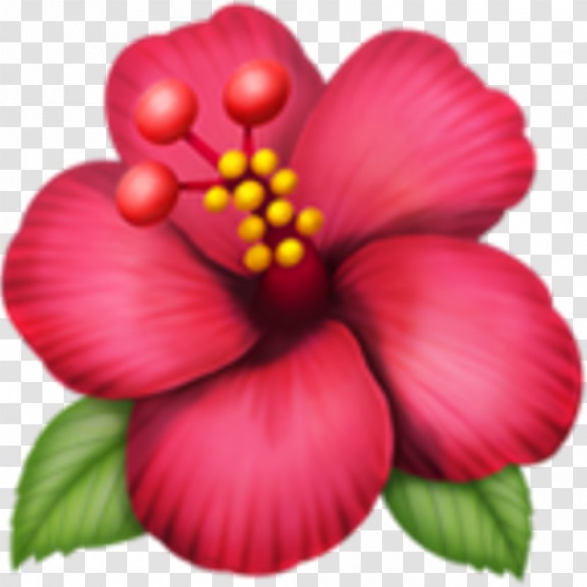 Emojipedia Flower Rosemallows IPhone - China Rose - Emoji Transparent PNG