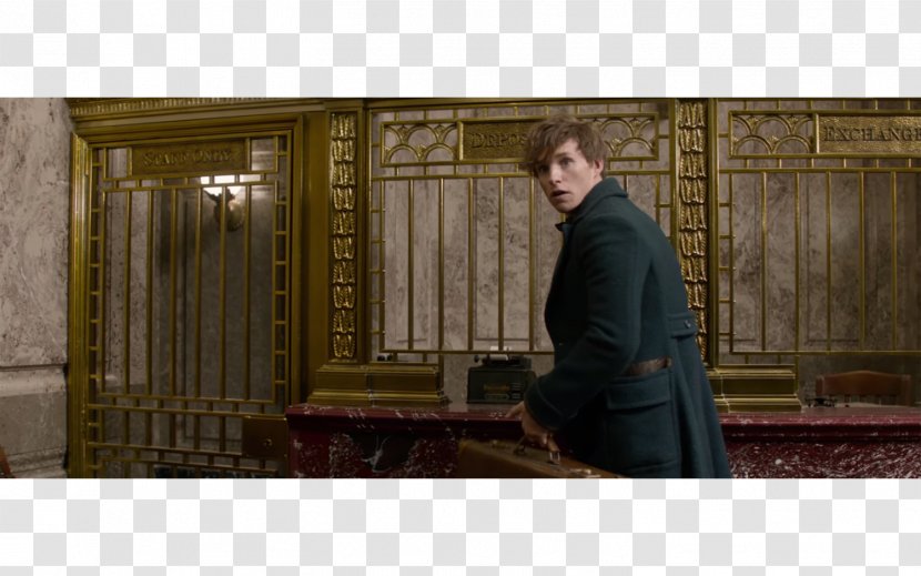 Harry Potter Prequel Fantastic Beasts And Where To Find Them Porpentina Goldstein Newt Scamander Queenie Transparent PNG