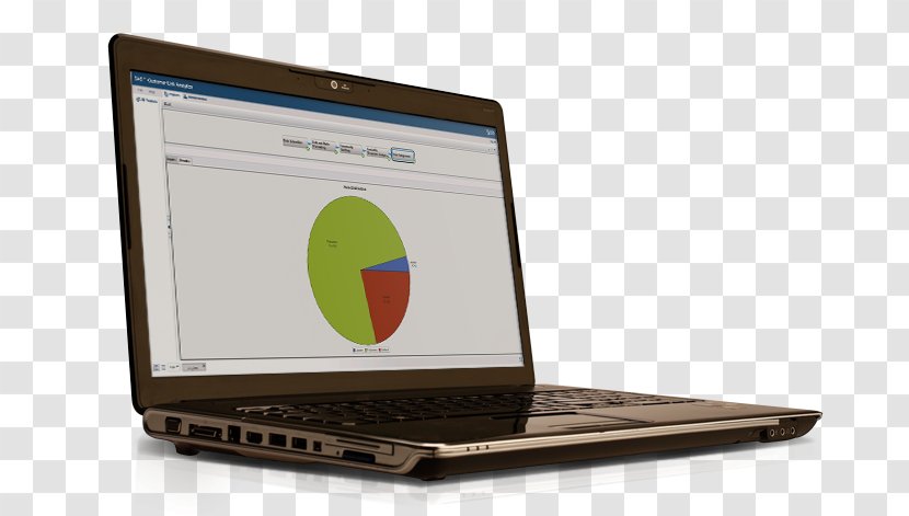 Analytics Master Data Management SAS Institute Information - Social Network Visualization Software Transparent PNG