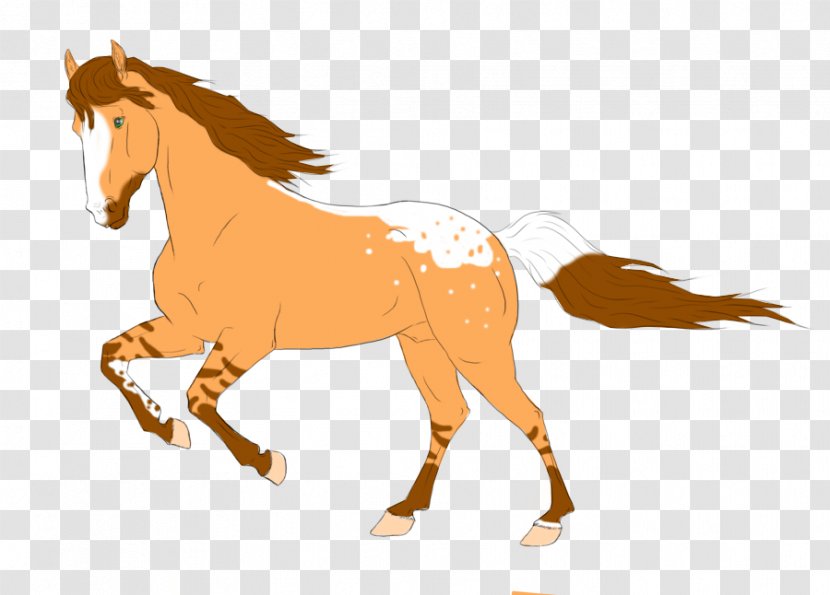 Mustang Stallion Foal Colt Mare Transparent PNG