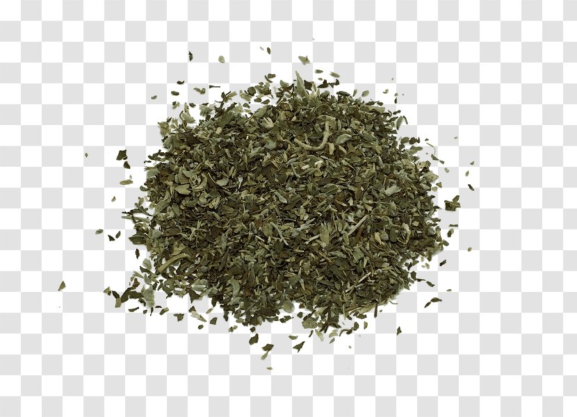 Nilgiri Tea Sencha Infusion White - Black Transparent PNG