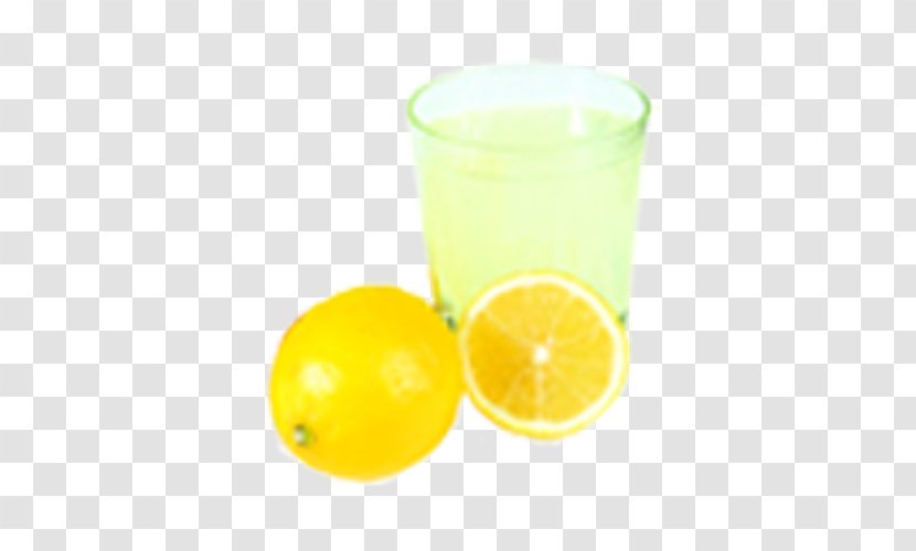 Orange Juice Harvey Wallbanger Cocktail Fuzzy Navel - Garnish - Limon Transparent PNG