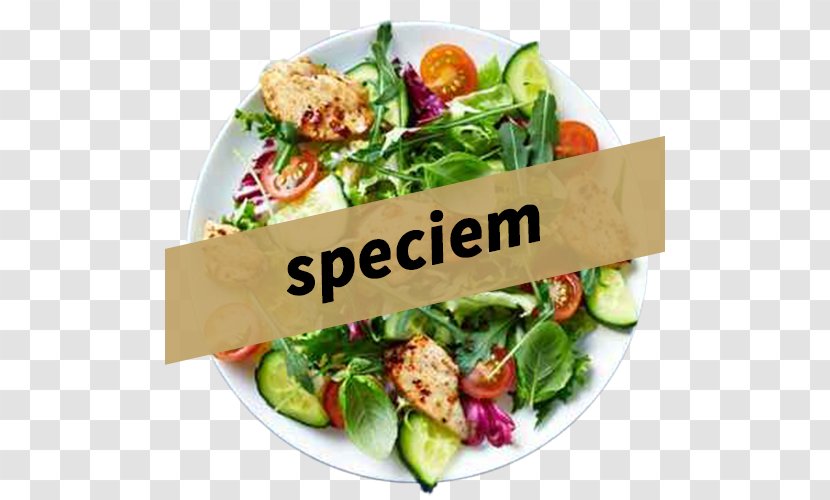 Food Eating Barbecue Chicken Salad Health - Salade De Saison Transparent PNG