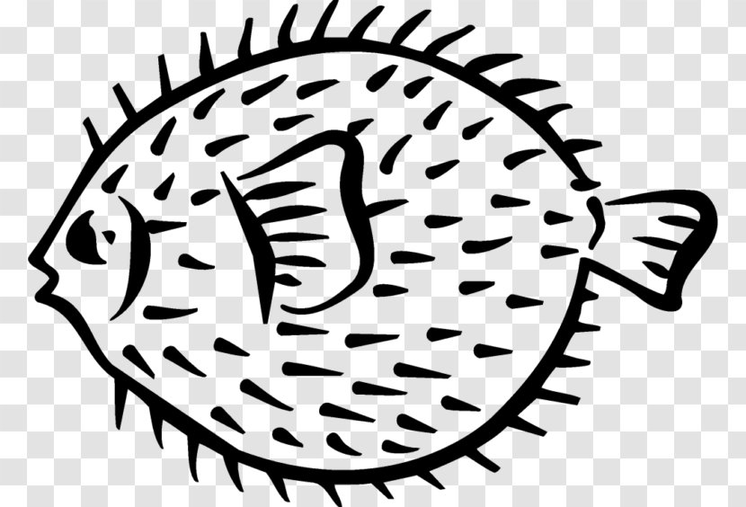Pufferfish Drawing Porcupinefish Clip Art - Frame - Cartoon Transparent PNG