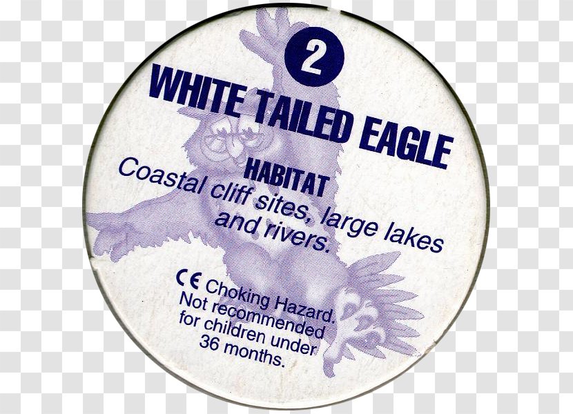 White-tailed Eagle Bird Of Prey Bateleur Transparent PNG