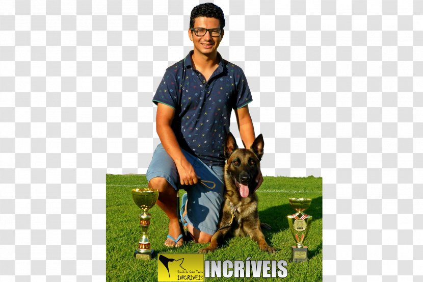 Tavira Obedience Training Escola De Cães - Portugal - Iron Dog Algarve BreedOs Incriveis Transparent PNG
