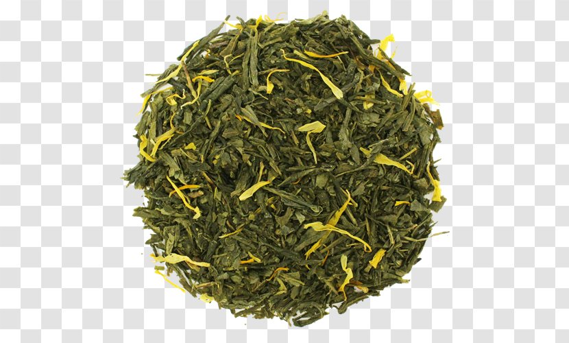 Gyokuro Nilgiri Tea Genmaicha Sencha - Assam Transparent PNG