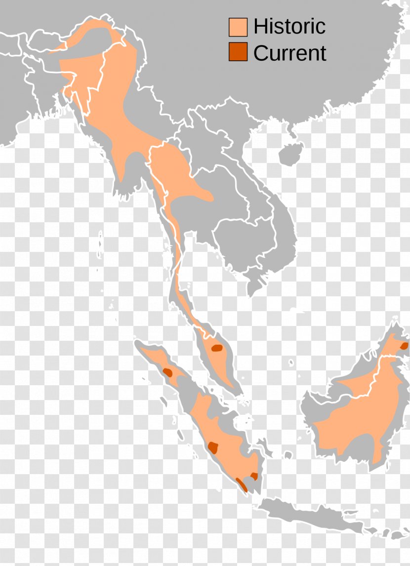 Javan Rhinoceros Sumatran - Horn - Indonesia Map Transparent PNG