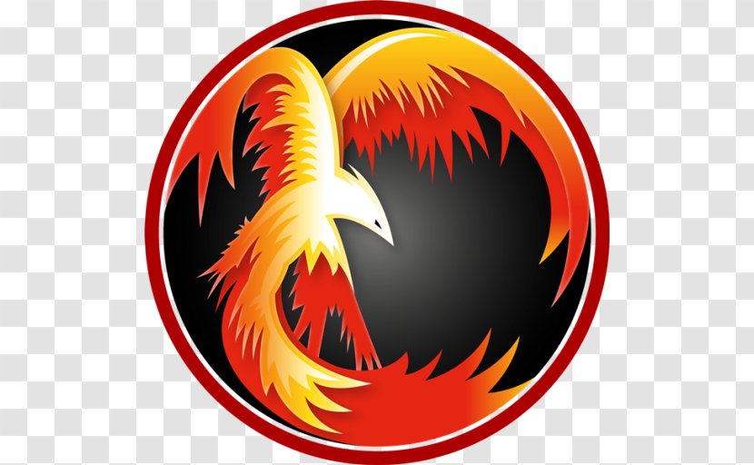 Logo Feng Shui Phoenix Design Dragon - Fifa - United States Of America Transparent PNG