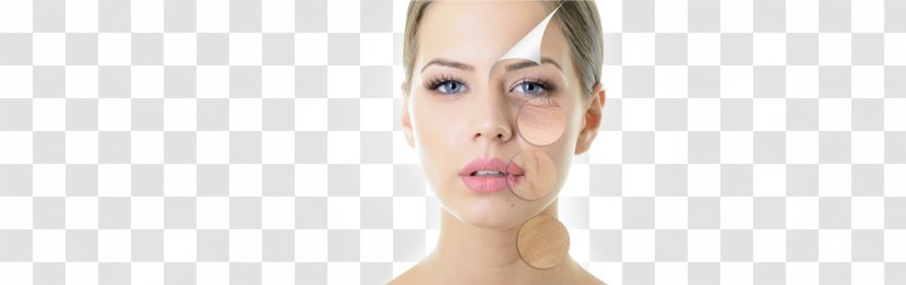 Cosmetics Face Cheek Cellbatt Purederm Gentle Makeup Remover 30 Wipes Per Pack Eyebrow - Human Leg - C02 Laser Peel Transparent PNG