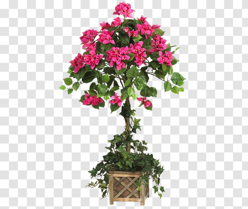 Topiary Wooden Box Tree - Flowering Plant Transparent PNG