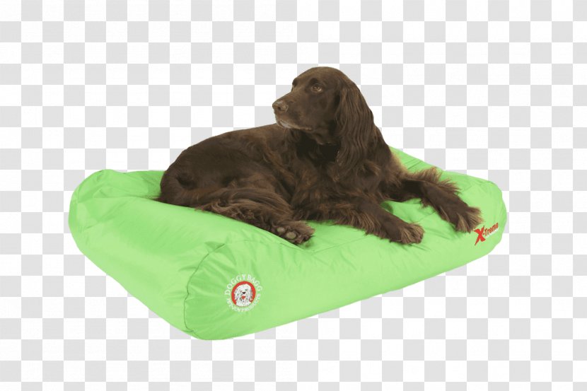 Boykin Spaniel Dog Breed Flat-Coated Retriever Puppy Transparent PNG