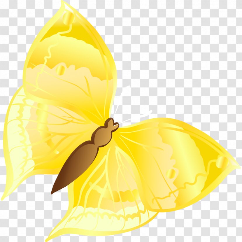 Cartoon Graphic Design - Yellow - Golden Butterfly Transparent PNG