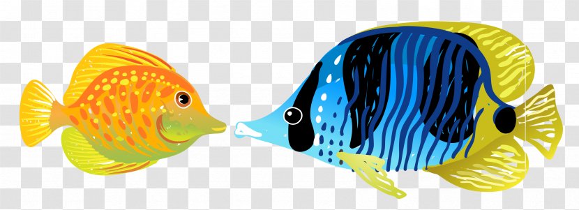 Fish Aquatic Animal Illustration - Marine Biology - Vector Transparent PNG