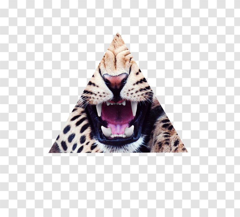 Leopard Lion Cheetah Cat Backpack - Yawn Transparent PNG