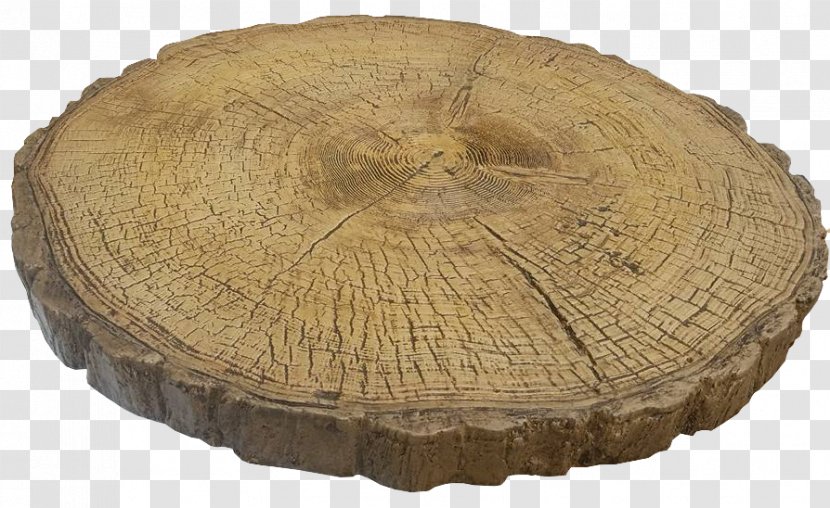 Wood Tree /m/083vt Transparent PNG