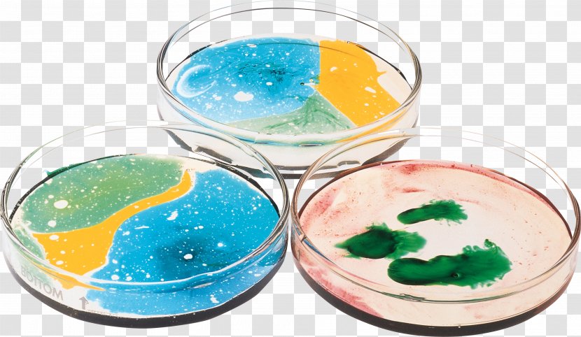 Petri Dishes Research Posiew Microbiology Real Bottle Shooting: Expert Gun Shoot Free Game - Glass Transparent PNG