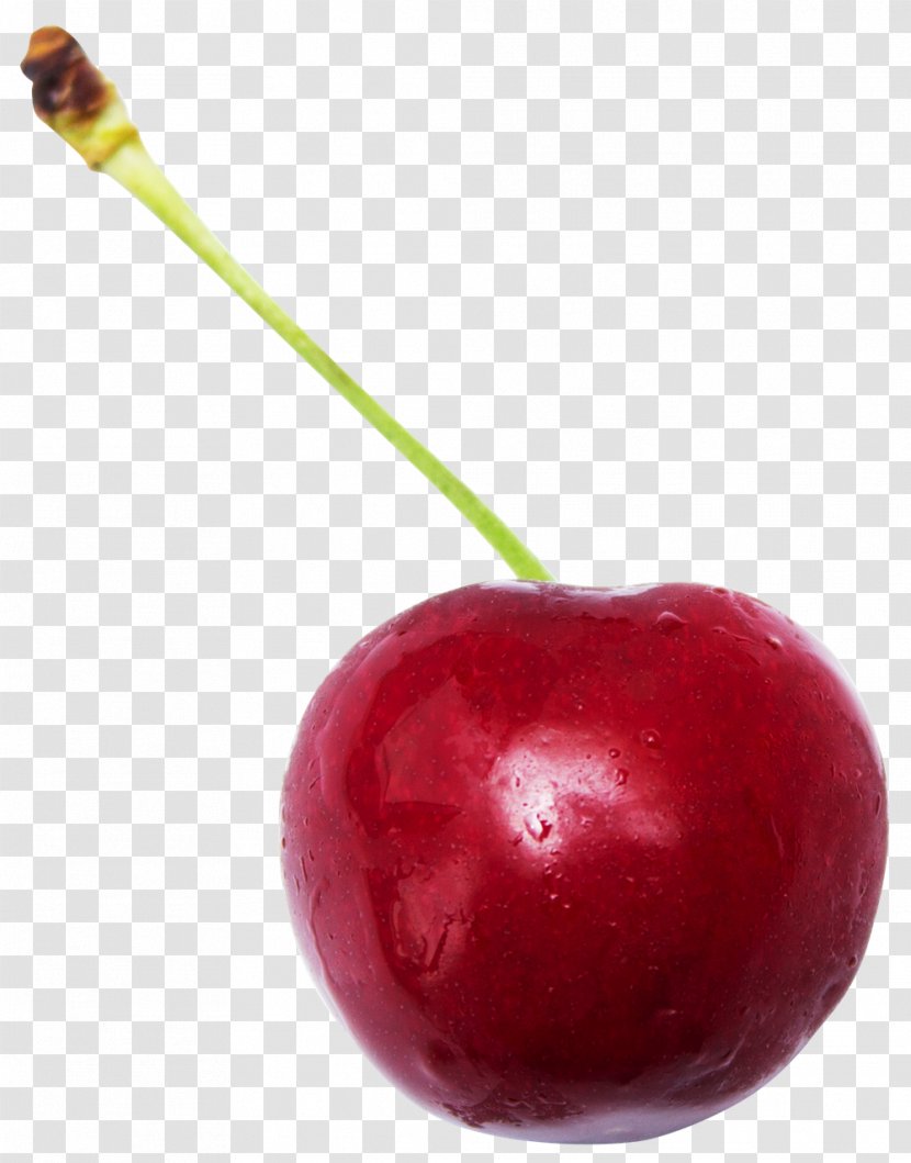 Sweet Cherry Sour Cerasus Fruit Transparent PNG