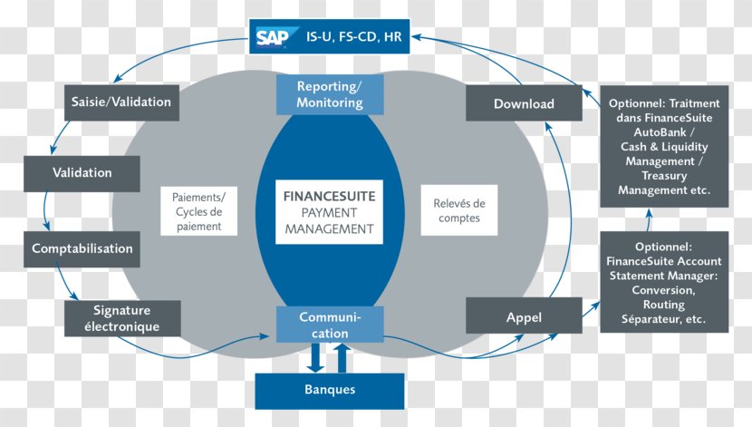 Treasury Management Business Process Payment - Financial Transparent PNG