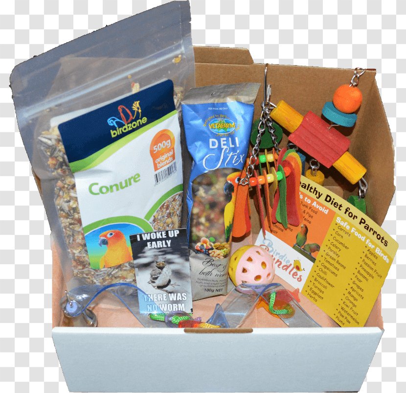 Bird Parrot Subscription Box Plastic - Toy Transparent PNG