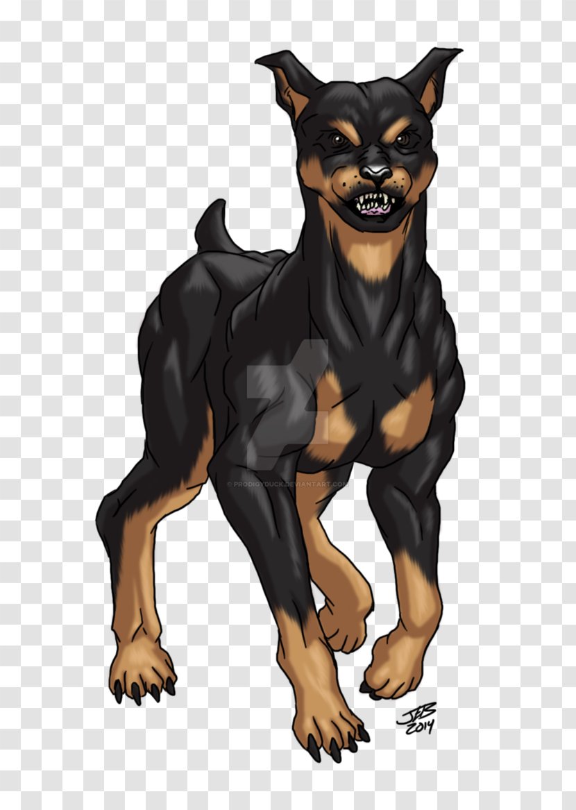 Dog Drawing - German Pinscher - Toy Guard Transparent PNG